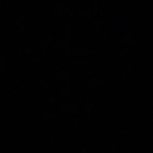 Meet your Posher, Yasie